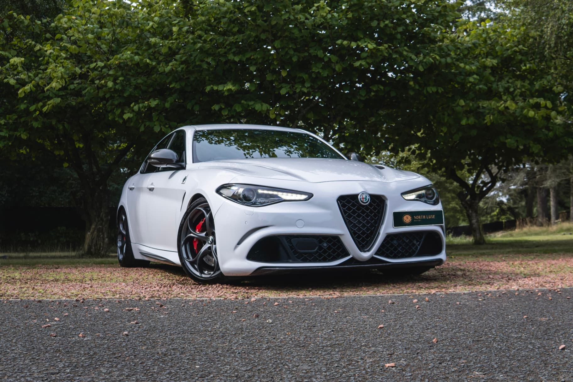 ALFA ROMEO